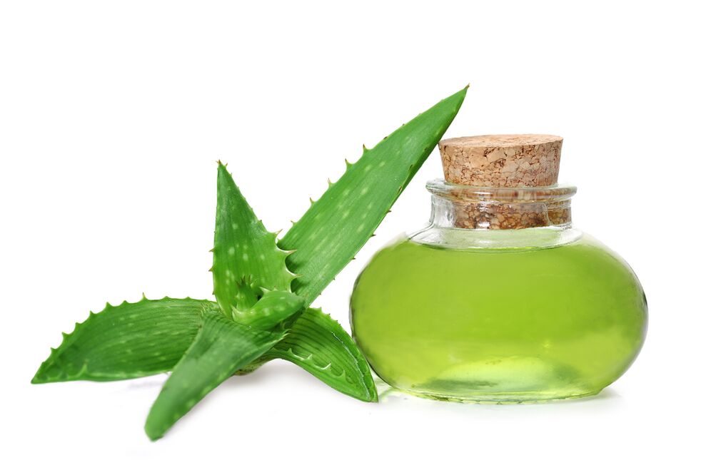 aloe kivonat - krém összetétele Proctonic